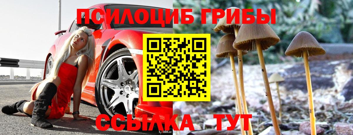 Галлюциногенные грибы прущие грибы Елабуга