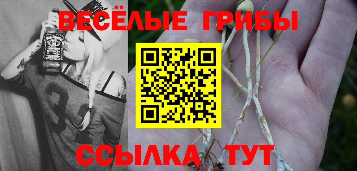 Псилоцибиновые грибы мицелий  Вход с VPN  Елабуга 